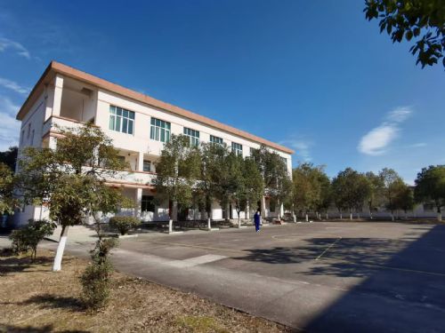 ��������һ